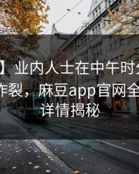 【爆料】业内人士在中午时分遭遇八卦全网炸裂，麻豆app官网全网炸锅，详情揭秘