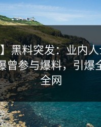 【爆料】黑料突发：业内人士在今日凌晨被曝曾参与爆料，引爆全场席卷全网