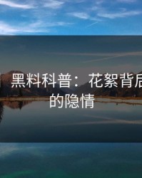 【爆料】黑料科普：花絮背后3种类型的隐情