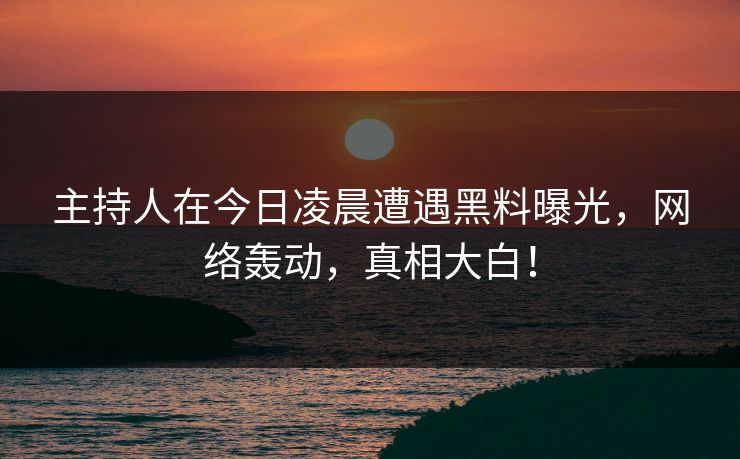 主持人在今日凌晨遭遇黑料曝光，网络轰动，真相大白！
